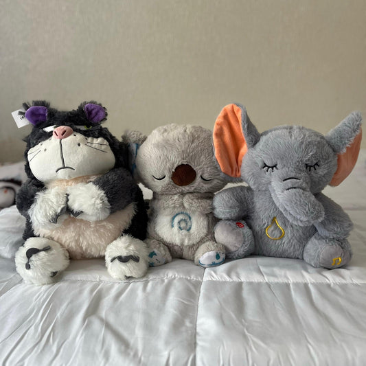 Pack de Rêve Masolu - MASOLU PELUCHE